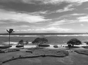 KAPA'A ~ WAIPOULI BEACH ~ REEF ~ GRAYSCALE ~ 16x20