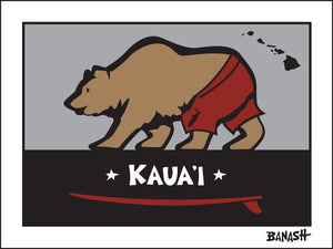 KAUA'I ~ HAWAI'I ~ SURF BEAR ~ 3:4