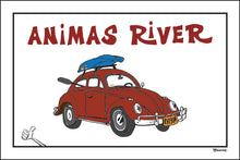 Load image into Gallery viewer, DURANGO ~ ANIMAS RIVER ~ KAYAK ~ RIVER BUG ~ 2:3