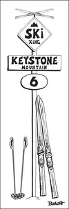 KEYSTONE MOUNTAIN ~ SKI XING ~ VINTAGE SKIIS ~ SIGN POST ~ 8x24