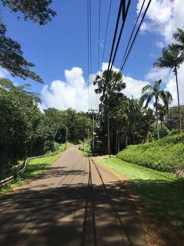 KAUA'I ISLE ~ SIMPLE HIGHWAY BACK TO KUHIO ~ 3:4