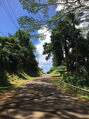 KAUA'I ISLE ~ SIMPLE HIGHWAY ~ 3:4