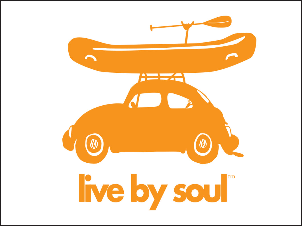 LIVE BY SOUL ~ RAFT BUG ~ GREM PADDLE ~ 3:4