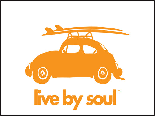 LIVE BY SOUL ~ SURF BUG ~ ENCINITAS ~ 3:4