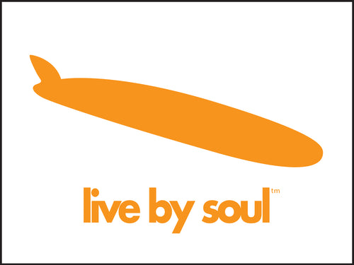 LIVE BY SOUL ~ LONGBOARD ~ ENCINITAS ~ 3:4