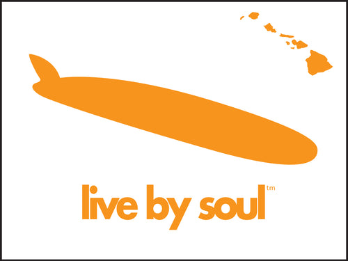 HAWAI'I ~ LIVE BY SOUL ~ LONGBOARD ~ 3:4