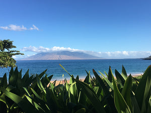 MALUAKA BEACH ~ WEST MAUI MOUNTAIN VEGETATION ~ 3:4
