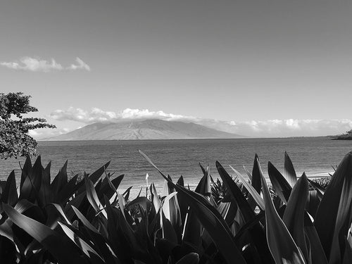 MALUAKA BEACH ~ WEST MAUI MOUNTAIN VEGETATION ~ GRAYSCALE ~ 3:4