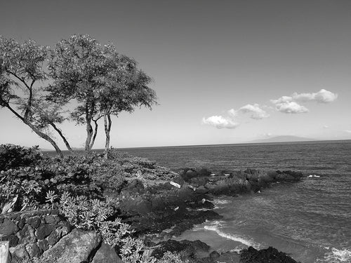 MALUAKA BEACH ~ POINT TREE ~ 16x20