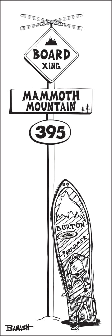 MAMMOTH MOUNTAIN ~ BOARD XING ~ SNOWBOARD ~ SIGN POST ~ 8x24