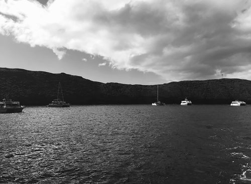 ALII NUI ~ MOLOKINI CRATER ~ CHARTERS ~ 3:4