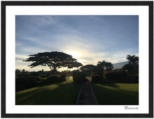 Load image into Gallery viewer, KIHEI TOWN ~ NATIVE MONKEYPOD ~ DAYBREAK