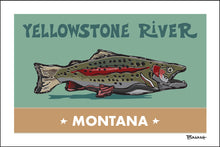 Load image into Gallery viewer, MONTANA ~ YELLOWSTONE RIVER ~ RAINBOW TROUT ~ 2:3