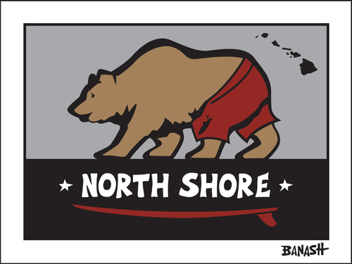 NORTH SHORE ~ HALE'IWA ~ SURF BEAR ~ 3:4
