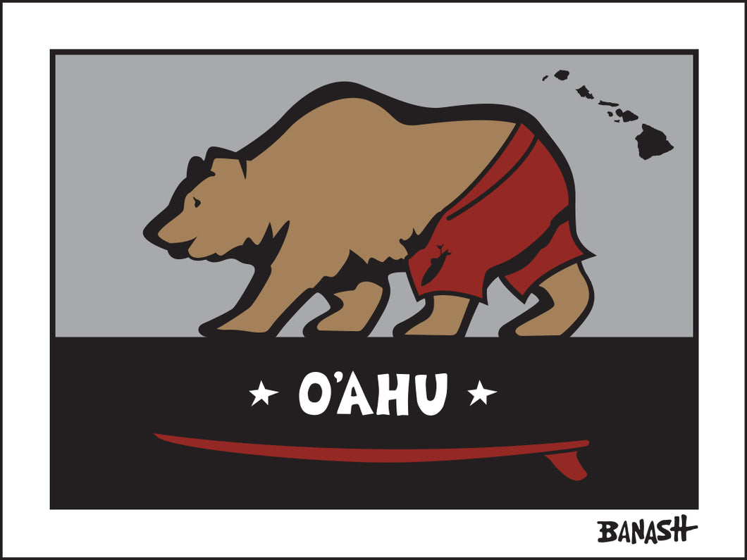 O'AHU ~ SURF BEAR ~ 3:4