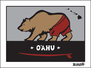 O'AHU ~ HAWAI'I ~ SURF BEAR ~ 3:4