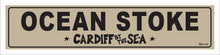 Load image into Gallery viewer, OCEAN STOKE ~ CARDIFF BY THE SEA