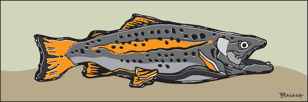 TROUT ~ ORANGE ~ 8x24