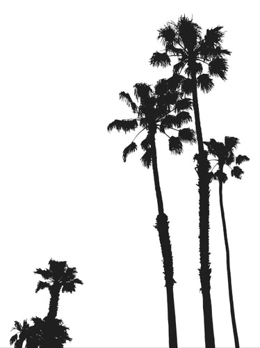 OCEANSIDE ~ 408 PALMS ~ 3:4