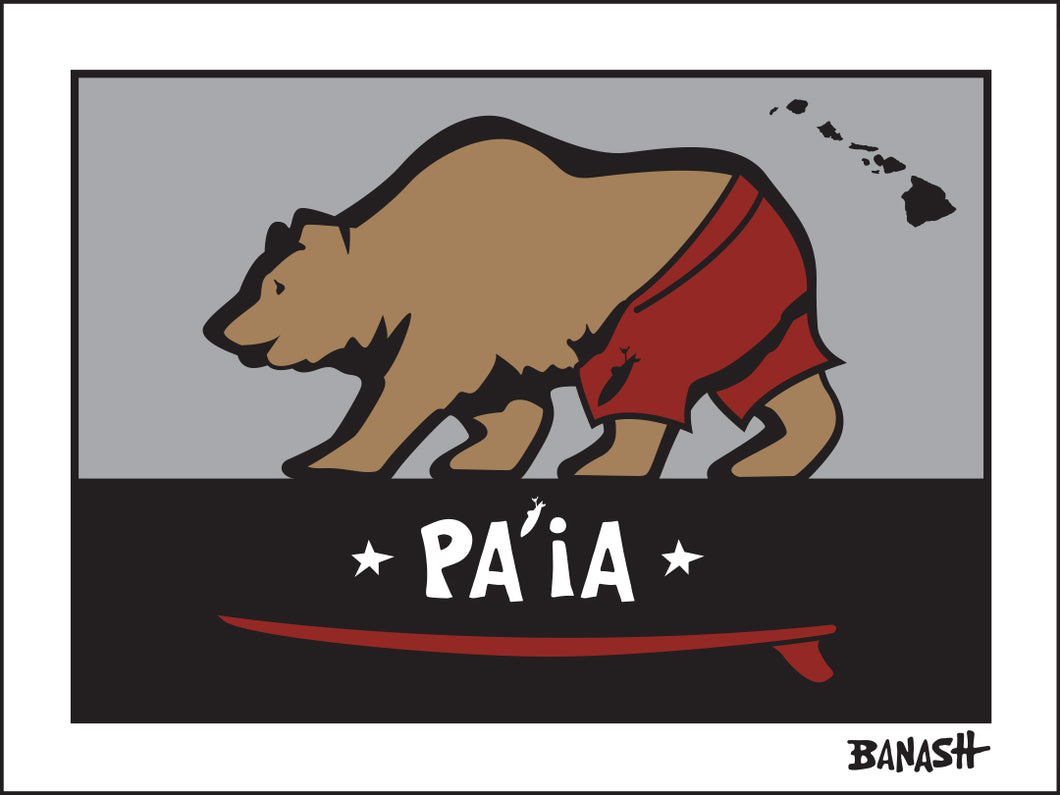 PA'IA ~ SURF BEAR ~ 3:4