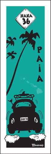 PA'IA ~ SURF BUG TAIL ~ AIR ~ HANA HWY 36 ~ 1:3