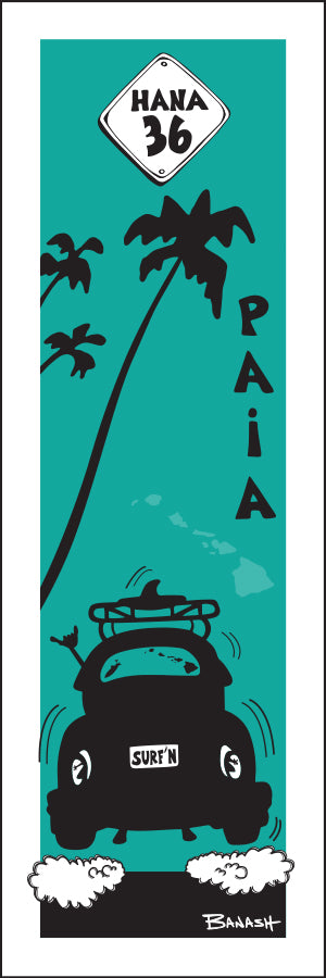 PA'IA ~ SURF BUG TAIL ~ AIR ~ HANA HWY 36 ~ 1:3