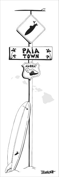 PA'IA TOWN ~ LONGBOARD ~ SURF XING ~ 1:3