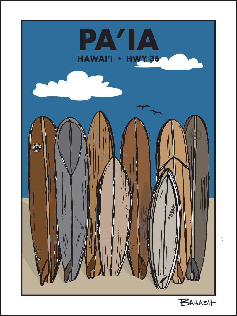 PA'IA ~ TOWN ~ SURF QUIVER ~ 3:4
