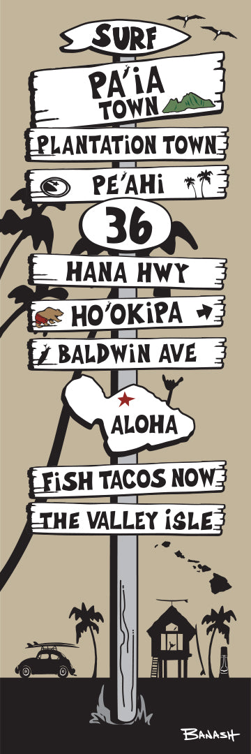 PAIA TOWN ~ BALDWIN AVE ~ SIGN POST ~ 8x24