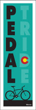 Load image into Gallery viewer, PEDAL T-RIDE ~ MOUNTAIN BIKE ~ CO LOGO ~ SEAFOAM