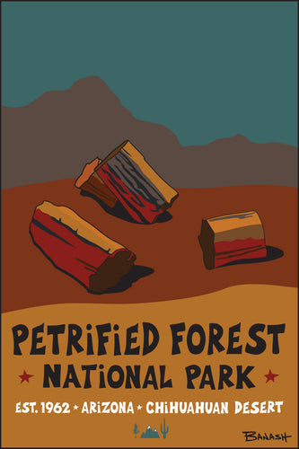 PETRIFIED FOREST NATIONAL PARK ~ 12x18
