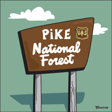 Load image into Gallery viewer, PIKE ~ NATIONAL FOREST ~ BACKCOUNTRY SIGN ~ 1:1