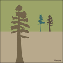 Load image into Gallery viewer, PINES ~ SERENITY ~ COLORADO ~ 1:1