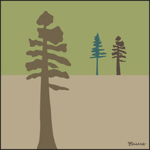Load image into Gallery viewer, PINES ~ SERENITY ~ 12x12