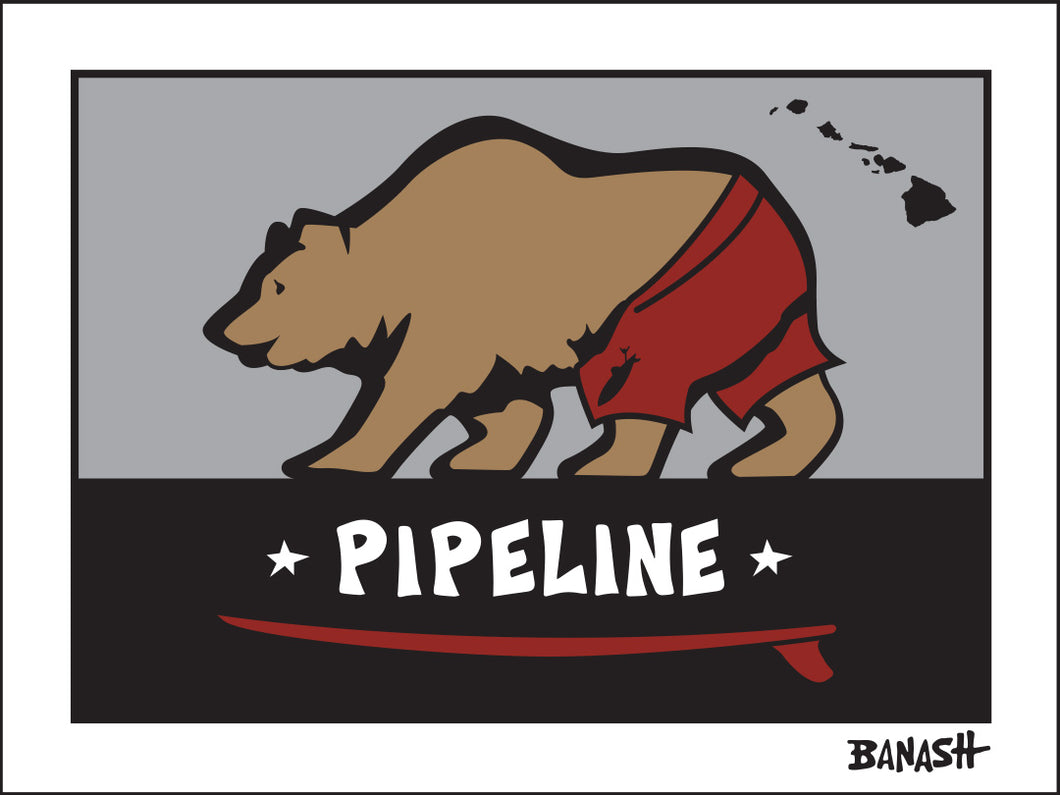 PIPELINE ~ HALE'IWA ~ SURF BEAR ~ 3:4