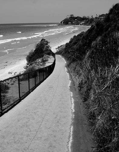 CARDIFF BY THE SEA ~ THE RAMP ~ 3:4