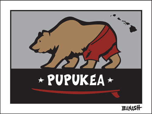 PUPUKEA ~ O'AHU ~ HAWAI'I ~ SURF BEAR ~ 3:4