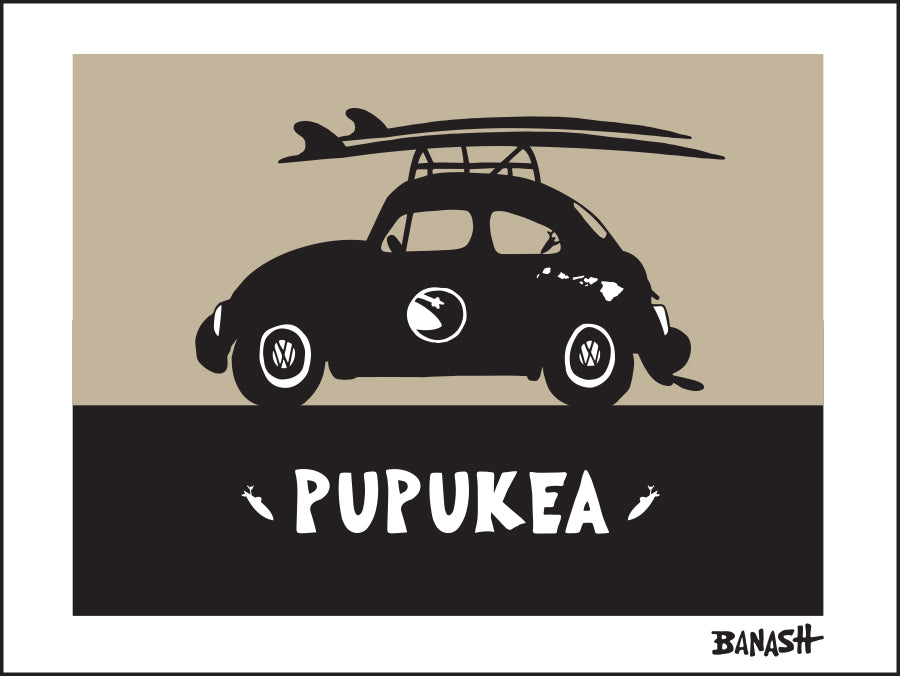 PUPUKEA ~ SURF BUG ~ BLACK N TAN ~ 3:4