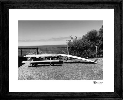 CARDIFF BY THE SEA ~ THE BENCH ~ RED FIN ~ 3:4