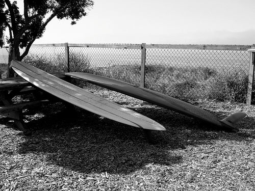 CARDIFF BY THE SEA ~ THE BENCH ~ RED FINS ~ 3:4