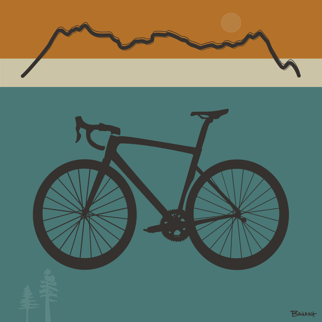 ROAD BIKE ~ SAN JUANS RIDGE ~ 1:1