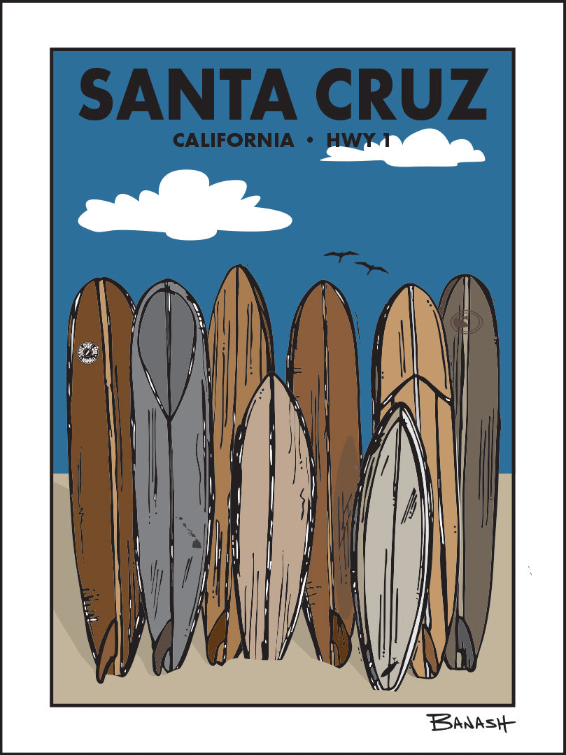 SANTA CRUZ ~ TOWN ~ SURF QUIVER ~ 3:4