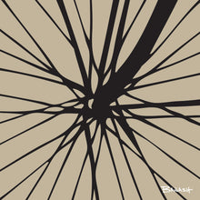 Load image into Gallery viewer, SCHWINN ~ AUTOCYCLE ~ FORK ~ SPOKES ~ ENCINITAS ~ 1:1