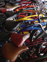 Load image into Gallery viewer, CARDIFF ZOO ~ SCHWINN BICYCLE QUIVER