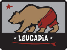 Load image into Gallery viewer, LEUCADIA ~ SURF BEAR ~ STONE GREMMY SURF ~ SEWN PATCH ~ 2.25&quot;x3&quot;