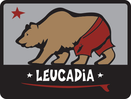 LEUCADIA ~ SURF BEAR ~ STONE GREMMY SURF ~ SEWN PATCH ~ 2.25