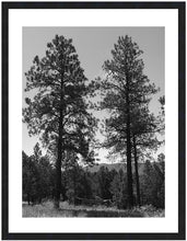 Load image into Gallery viewer, SIMPLE HAMMOCK ~ PINES