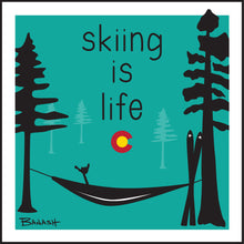 Load image into Gallery viewer, SKIING IS LIFE ~ HAMMOCK ~ COLORADO ~ 1:1