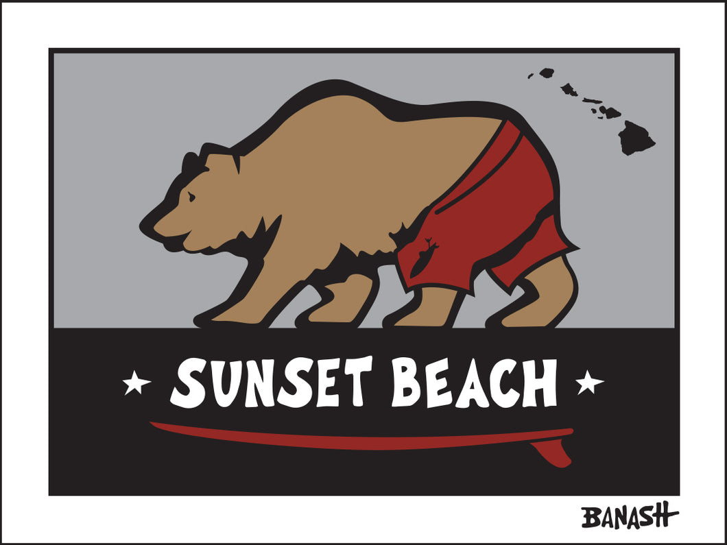SUNSET BEACH ~ PUPUKEA TOWN ~ SURF BEAR ~ 3:4