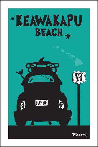 KEAWAKAPU BEACH ~ WAILEA ~ SURF BUG TAIL ~ HWY 31 ~ SEAFOAM ~ 2:3